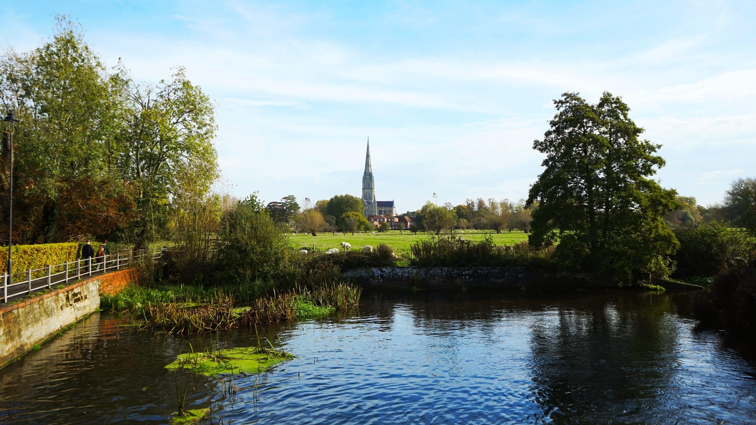 Just 14% of England’s Waterways in Good Health